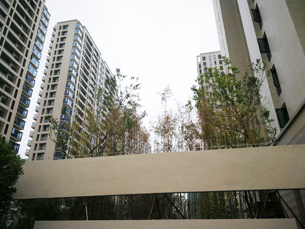 世貿紹興人民路2號地塊